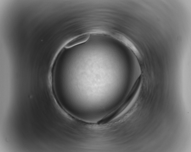 X0000099981092200805301348
