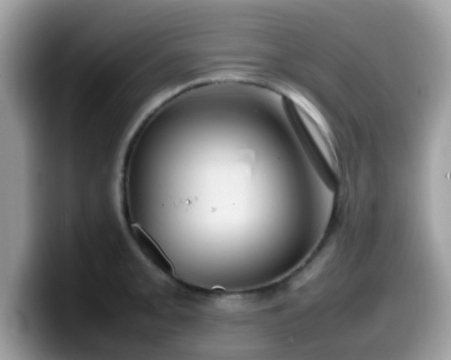 X0000099981093200805301348