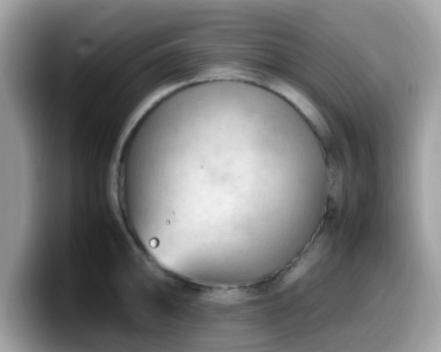X0000099981094200805301348