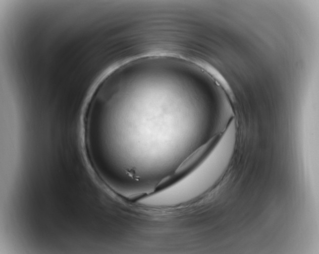 X0000099981096200805301348