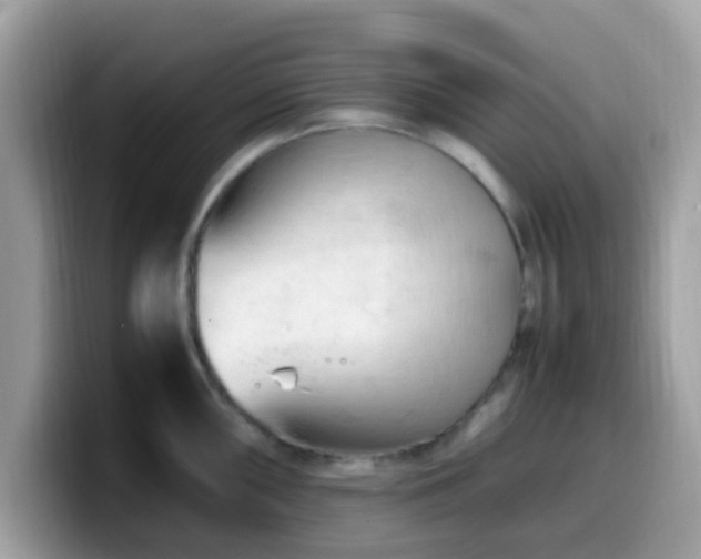 X0000099981098200805301348