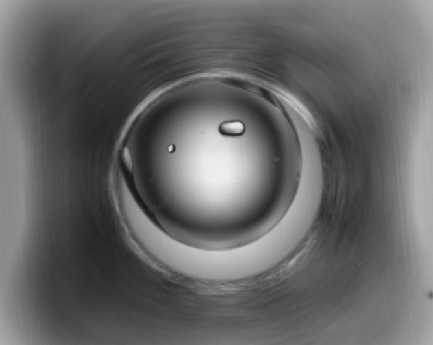 X0000099981100200805301348