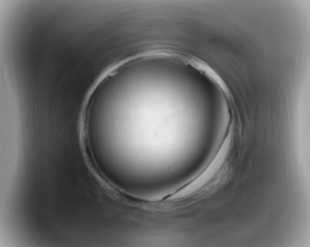 X0000099981101200805301348