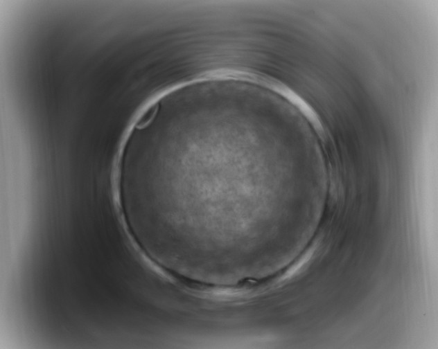 X0000099981102200805301348