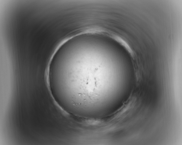 X0000099981103200805301348