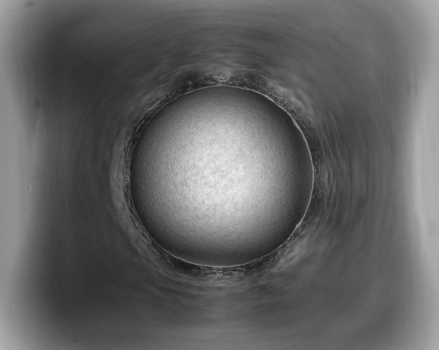 X0000099981105200805301348