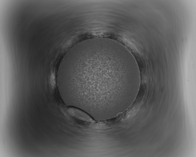 X0000099981106200805301348