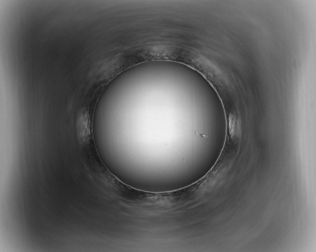 X0000099981107200805301348