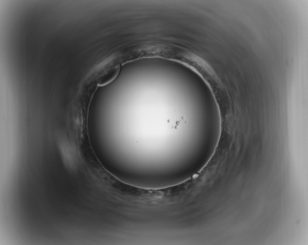 X0000099981111200805301348