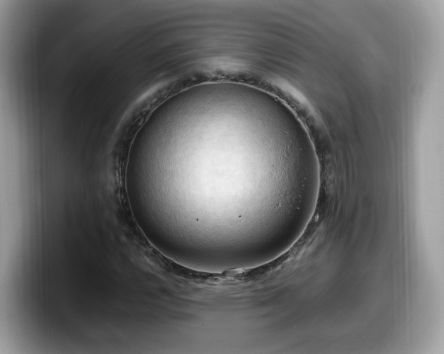X0000099981112200805301348