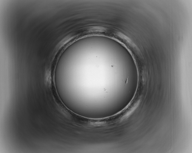 X0000099981113200805301348