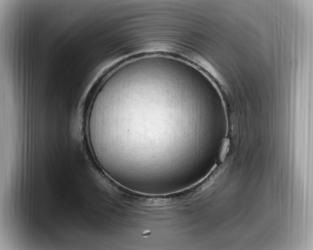 X0000099981116200805301348