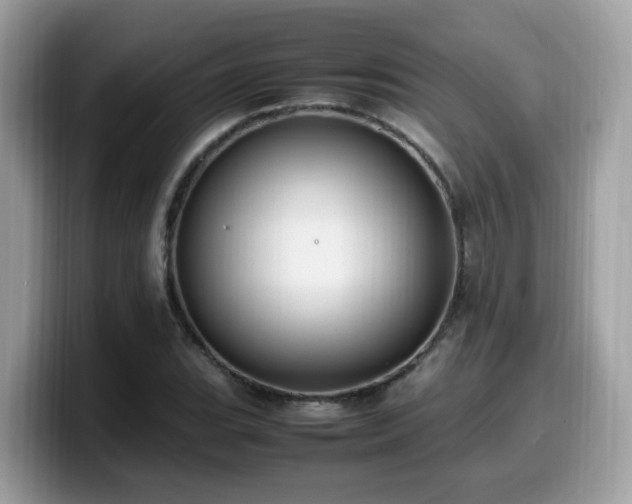 X0000099981119200805301348