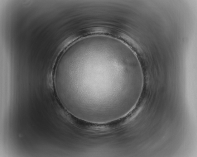 X0000099981121200805301348