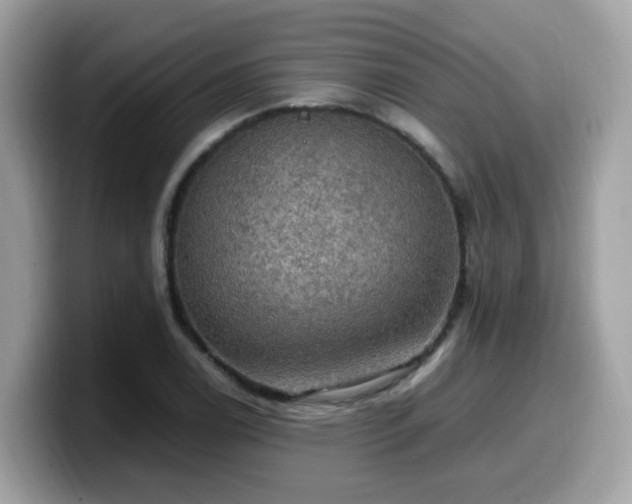 X0000099981122200805301348