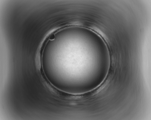 X0000099981123200805301348