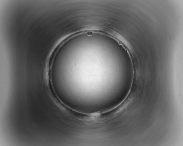 X0000099981124200805301348