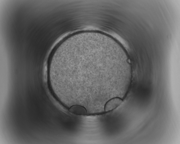X0000099981126200805301348