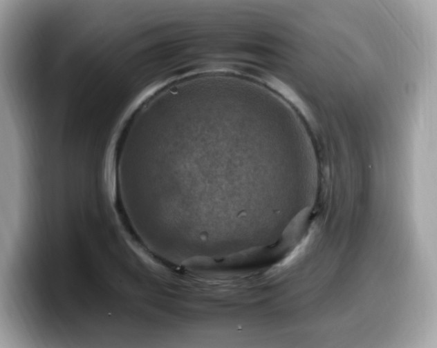 X0000099981127200805301348