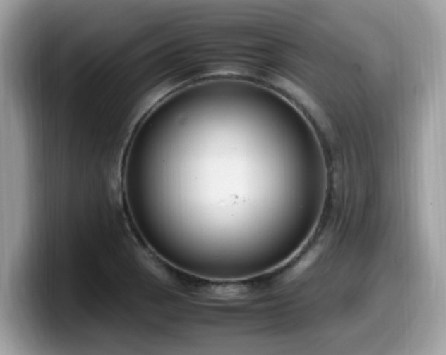 X0000099981129200805301348