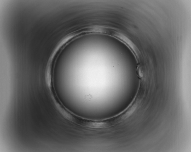 X0000099981131200805301348