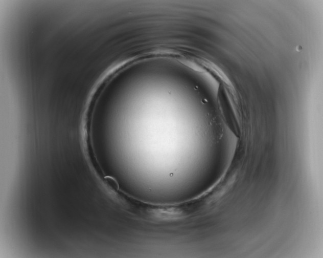 X0000099981133200805301348