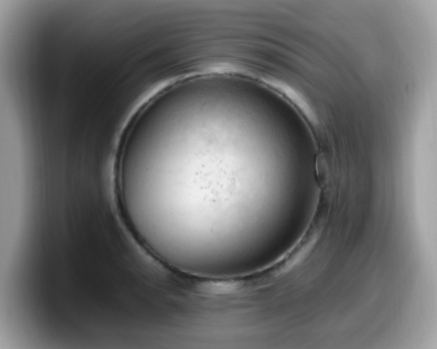 X0000099981134200805301348