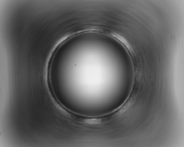 X0000099981135200805301348