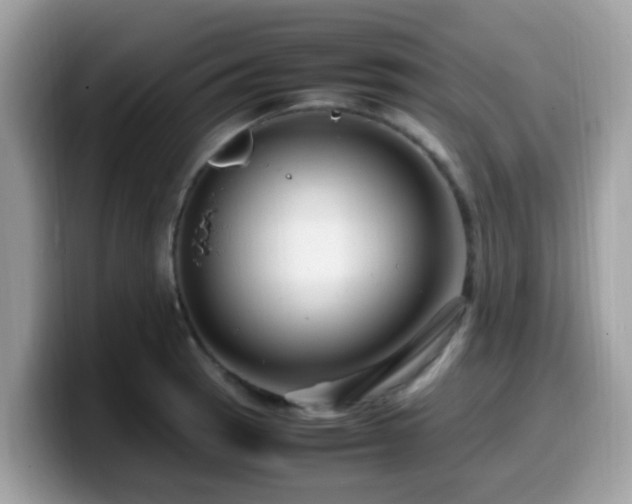 X0000099981137200805301348