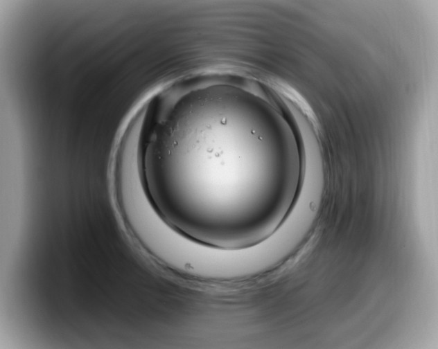 X0000099981138200805301348