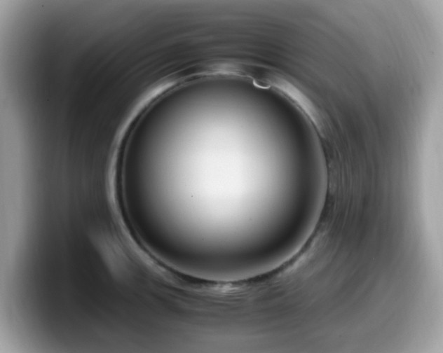 X0000099981139200805301348