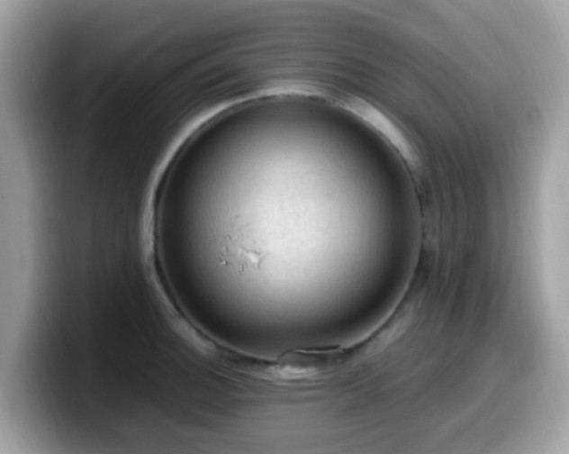 X0000099981140200805301348
