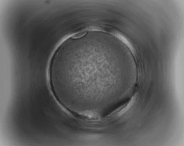 X0000099981141200805301348