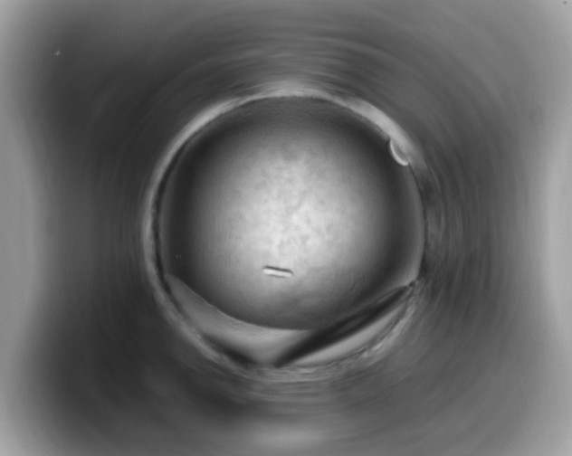 X0000099981142200805301348