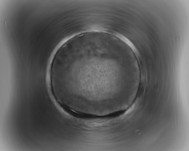 X0000099981144200805301348