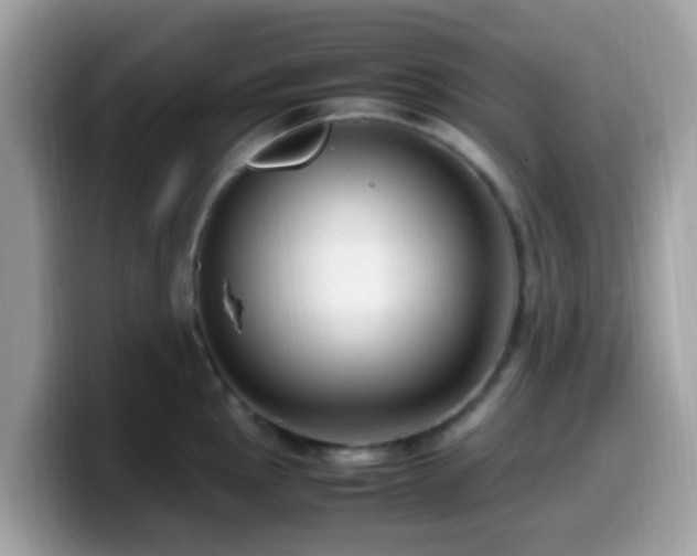 X0000099981145200805301348