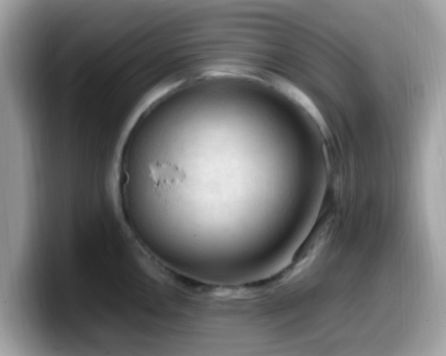 X0000099981146200805301348