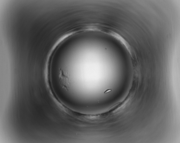 X0000099981147200805301348