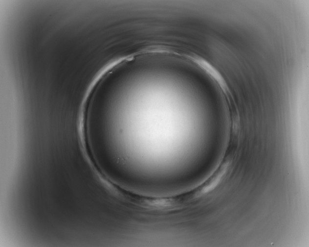X0000099981149200805301348