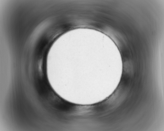 X0000099981150200805301348