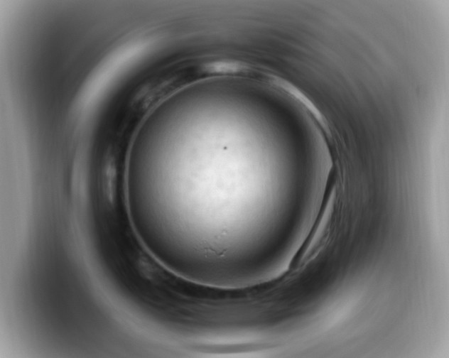 X0000099981151200805301348