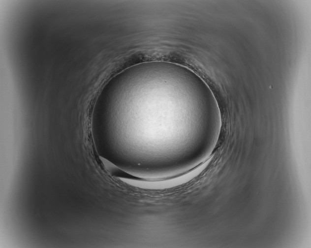 X0000099981153200805301348