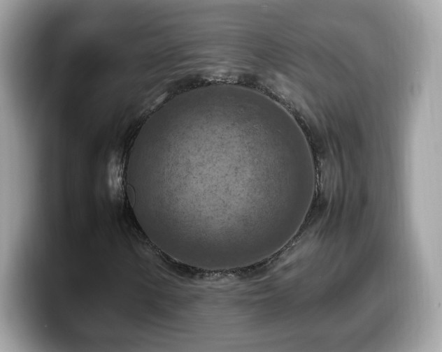 X0000099981154200805301348