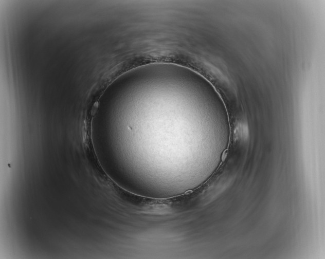 X0000099981156200805301348