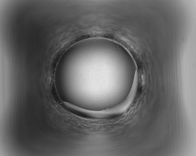 X0000099981157200805301348