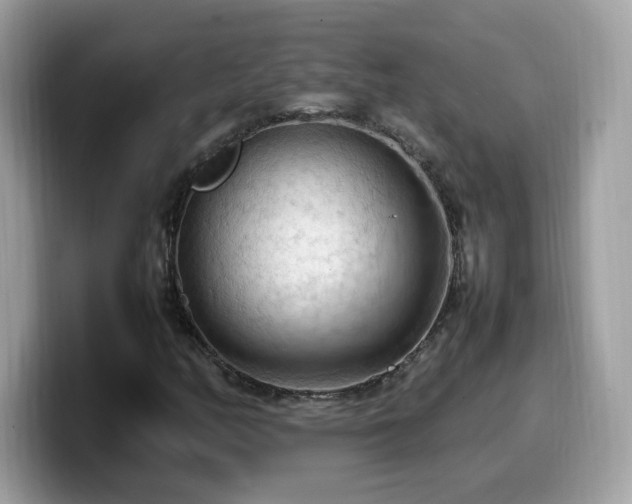 X0000099981158200805301348