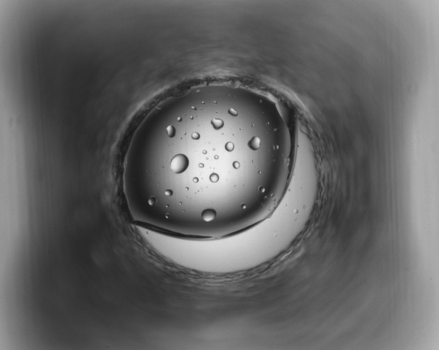 X0000099981160200805301348