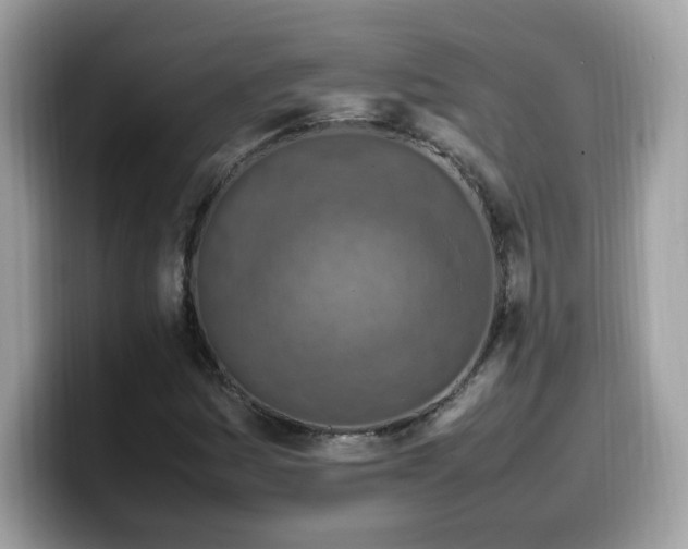X0000099981161200805301348