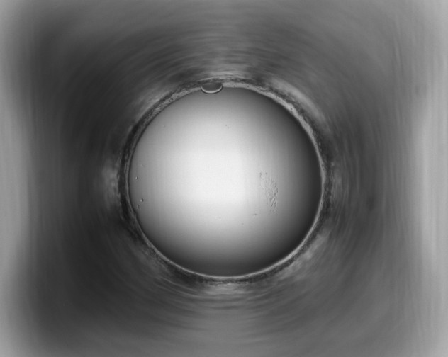 X0000099981162200805301348