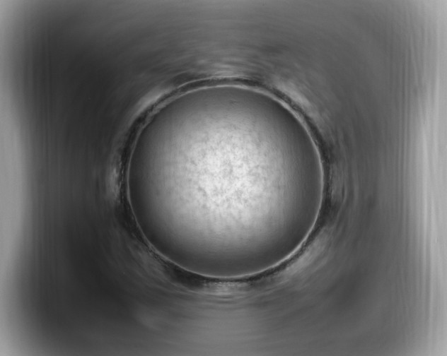 X0000099981163200805301348